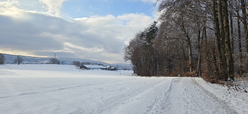 Eindrücke von unserem 