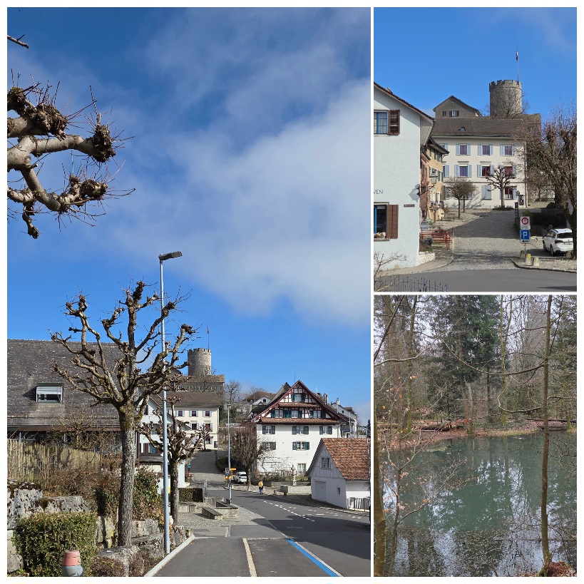 Freizeit, senioren, Treff, Single, Wanderung Nr. 03 - 2026  - Runde um Regensberg  Regensberg - Loohof - Aussichtspunkt Dielsdorf - Gamis - hinunter ins Tal - und hoch nach  Regensberg  … und jetzt?