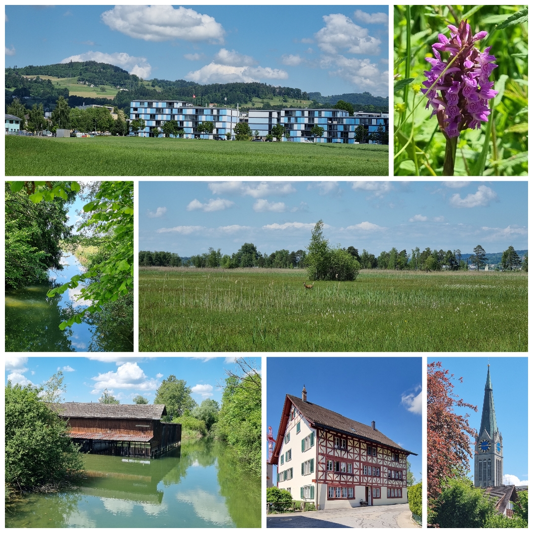 Eindrücke von unserem Zäme-sii-Event vom 18.05.25  Zäme aktiv sii, feste, glücklich sii, einfach lustig ha und gniesse  Text: Alfred Tschopp/Fotos: Claudine Carré  Sonntagsausflug nach Wetzikon (Wezzinchova) – Ein Juwel im Zürcher Oberland  Nur einen Katzensprung vom idyllischen Pfäffikersee und dem Naturschutzgebiet Robenhuserriet entfernt, liegt das charmante Wetzikon – ein echtes Paradies für Naturliebhaber und Entdecker.