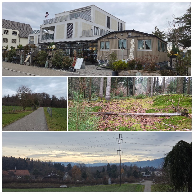 Eindrücke von unserem 