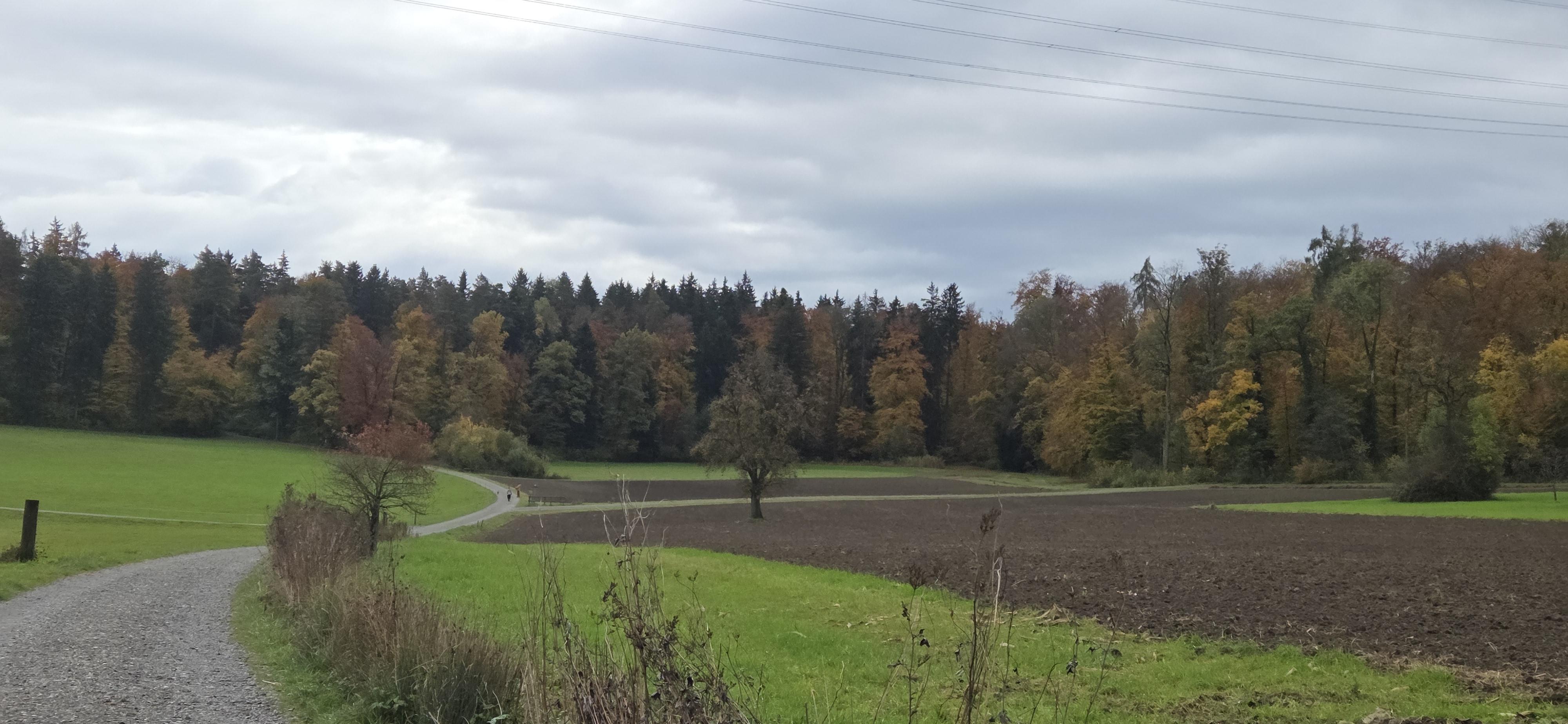 Eindrücke von unserem Zäme-sii-Event vom 22.10.25  Zäme aktiv sii, feste, glücklich sii, einfach lustig ha und gniesse  Text: Alfred Tschopp/Fotos: Claudine Carré  Gockhausen – Restaurant Geeren – Metzgete   „Wir sind gerne für Sie da!“ – verspricht die Website des Restaurants Geeren und macht Lust auf deftige Klassiker: Rippli, Speck, Leberli – und natürlich Blut- und Leberwurst. Metzgete, wie sie sein soll!  Gockhausen, ein Ortsteil der Stadt Dübendorf, liegt idyllisch am Zürichberg. Am Dorfrand findet sich die urchige Zürcher Landbeiz, und kaum bist du dort – schwupps – stehst du mitten in der Natur.