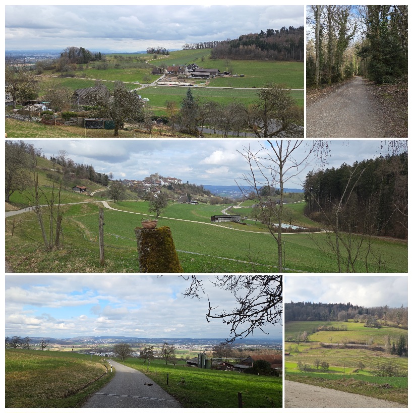 Freizeit - senioren - treff - spazieren - zäme-sii