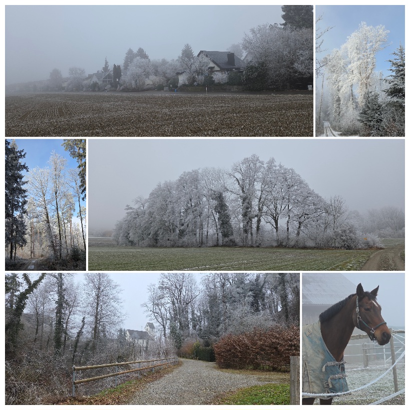 Freizeitclub zäme sii, verein und club für Freizeitaktivitäten - Eindrücke von unserem 