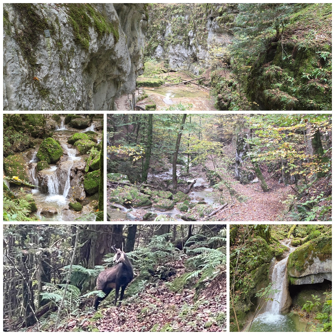 Eindrücke von unserem 