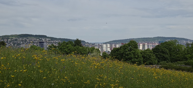 Freizeit - Eindrücke von unserem 