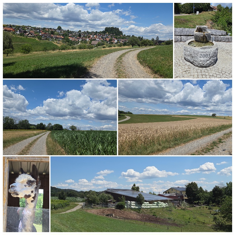 Heute geht’s ab nach Buchberg, in den südlichen Teil des Kantons Schaffhausen. Das Dorf liegt auf einem Hügel und bietet eine herrliche Aussicht auf die Alpenkette. Unser Ziel ist ein echter Klassiker unter den Besenbeizen. Zum Hof gehört auch ein Hofladen mit allerlei feinen und regionalen Produkten.