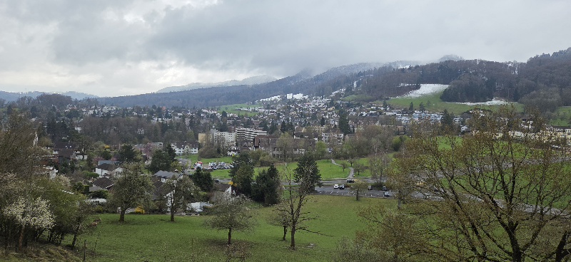 Freizeit - Ab in den Wildpark Langenberg in Langnau am Albis  Heute sind wieder einige Weltenbummler im Club dabei – herzlich willkommen zurück!  Nachdem ich die (leicht überhöhten 😉) Parkplatzgebühren bezahlt habe, geht’s hinauf in den Wildpark. Hier leben ausschliesslich einheimische Tiere – ein schönes Stück Natur direkt vor der Haustür.