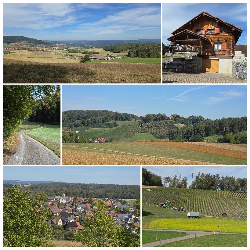 Freizeitclub Zäme-sii - Wandergruppe Zäme unterwägs