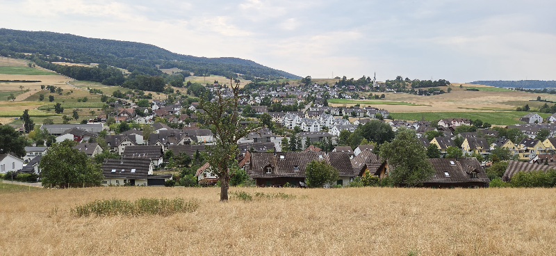 Zäme höckle, ässe, plaudere, spaziere, einfach lustig ha und gniesse Mammuttal Heute geht’s wieder mal ins Wehntal – dorthin, wo früher Mammuts und andere Exoten herumgestreift sind.