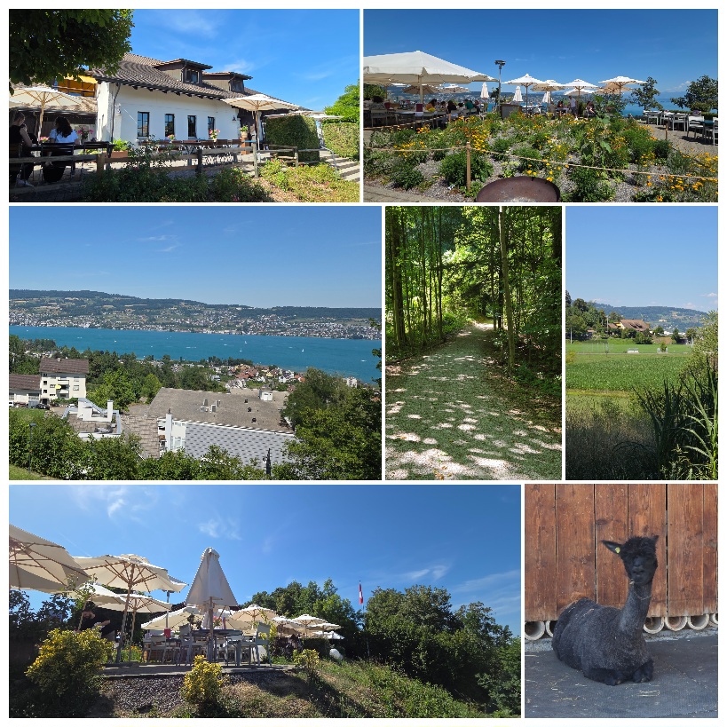 Freizeitclub Restaurant Schönegg, Wädenswil und Umgebung