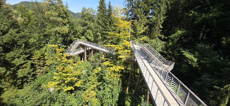 Baumwipfelpfad - Lorzentobel - Freizeitclub