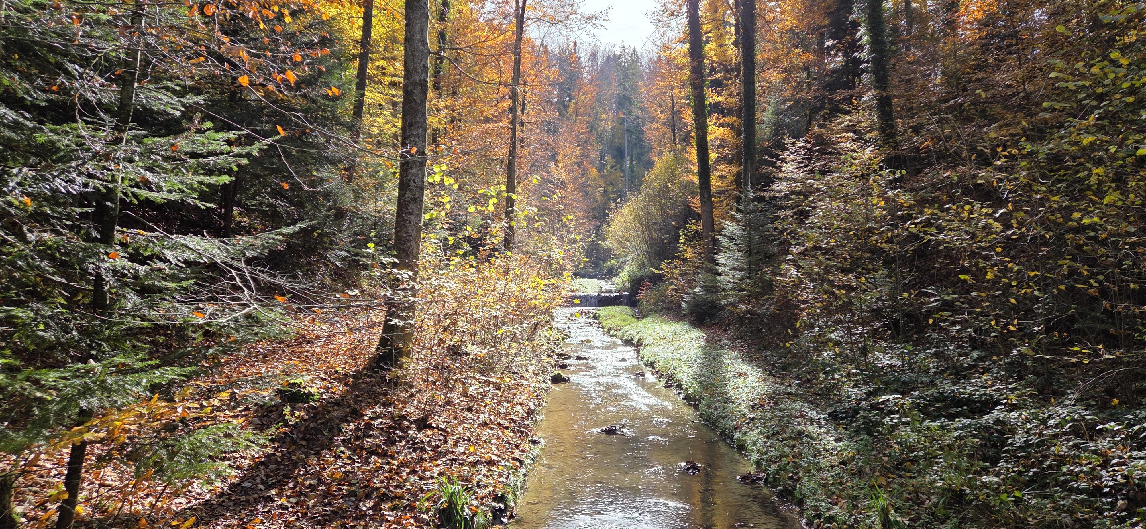 Eindrücke von unserem 