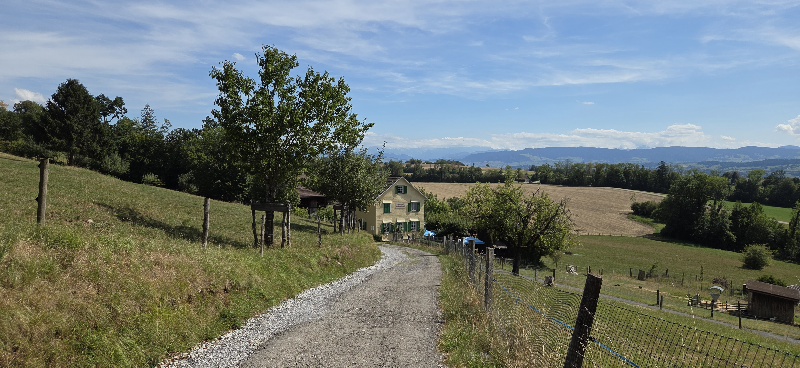 Herrlicher Berg - Herrliberg ☺️😂 Kurz durch Zürich und dem See entlangfahren, und schon sind wir auf dem Herrliberg respektive auf der Blüemlisalp. In Herrliberg liegen zwei Alpen, die Blüemlisalp und die Schönalp, die beide zur Sömmerung von Rindern dienen. Heute ist die Blüemlisalp mit der ländlich gebliebenen Wirtschaft ein über die Kantonsgrenzen hinaus beliebtes Ausflugsziel, wozu auch die wunderbare Rundsicht auf Landschaft und Alpen beiträgt.