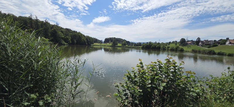 Horgener Bergweiher bei Horgenberg: Freizeitclub