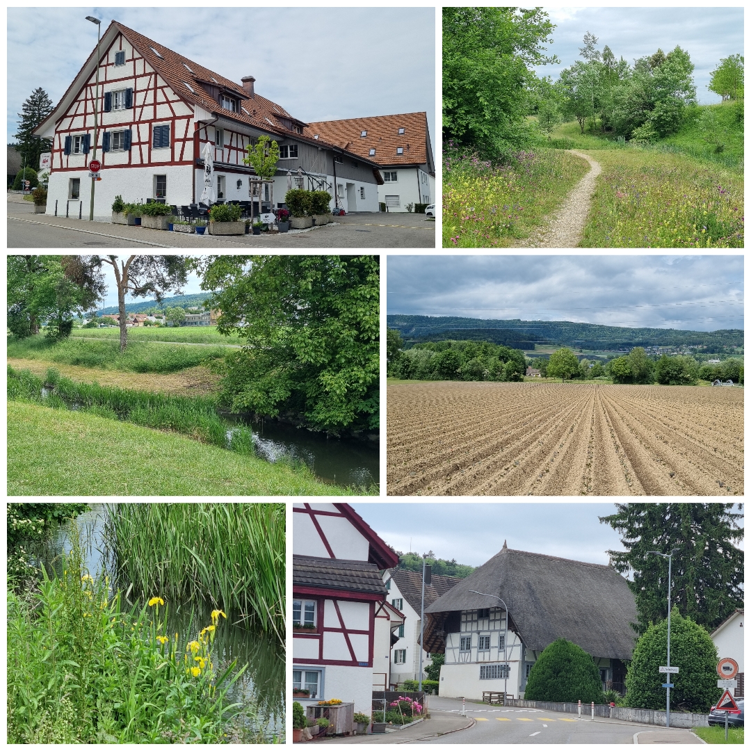 Sonntagsausflug nach Hüttikon im Furttal.  Schon die Römer und später die Alemannen fanden das Furttal – und damit auch Hüttikon – attraktiv. Der alemannische Sippenführer Hutto gründete das Dorf Huttinchova als eine Ansiedlung von sogenannten «Pfostenhäusern». Auf diesen Namen geht die heutige Bezeichnung «Hüttikon» zurück. Die Gründung dürfte einige Zeit vor dem Jahr 883 erfolgt sein, als Hüttikon erstmals urkundlich erwähnt wurde.