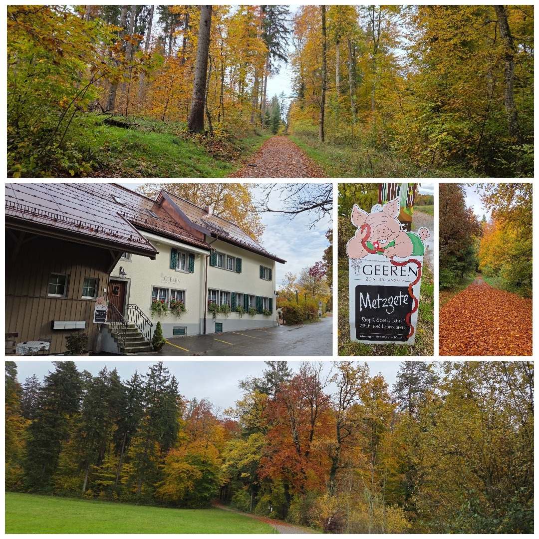 Eindrücke von unserem Zäme-sii-Event vom 22.10.25  Zäme aktiv sii, feste, glücklich sii, einfach lustig ha und gniesse  Text: Alfred Tschopp/Fotos: Claudine Carré  Gockhausen – Restaurant Geeren – Metzgete   „Wir sind gerne für Sie da!“ – verspricht die Website des Restaurants Geeren und macht Lust auf deftige Klassiker: Rippli, Speck, Leberli – und natürlich Blut- und Leberwurst. Metzgete, wie sie sein soll!  Gockhausen, ein Ortsteil der Stadt Dübendorf, liegt idyllisch am Zürichberg. Am Dorfrand findet sich die urchige Zürcher Landbeiz, und kaum bist du dort – schwupps – stehst du mitten in der Natur.