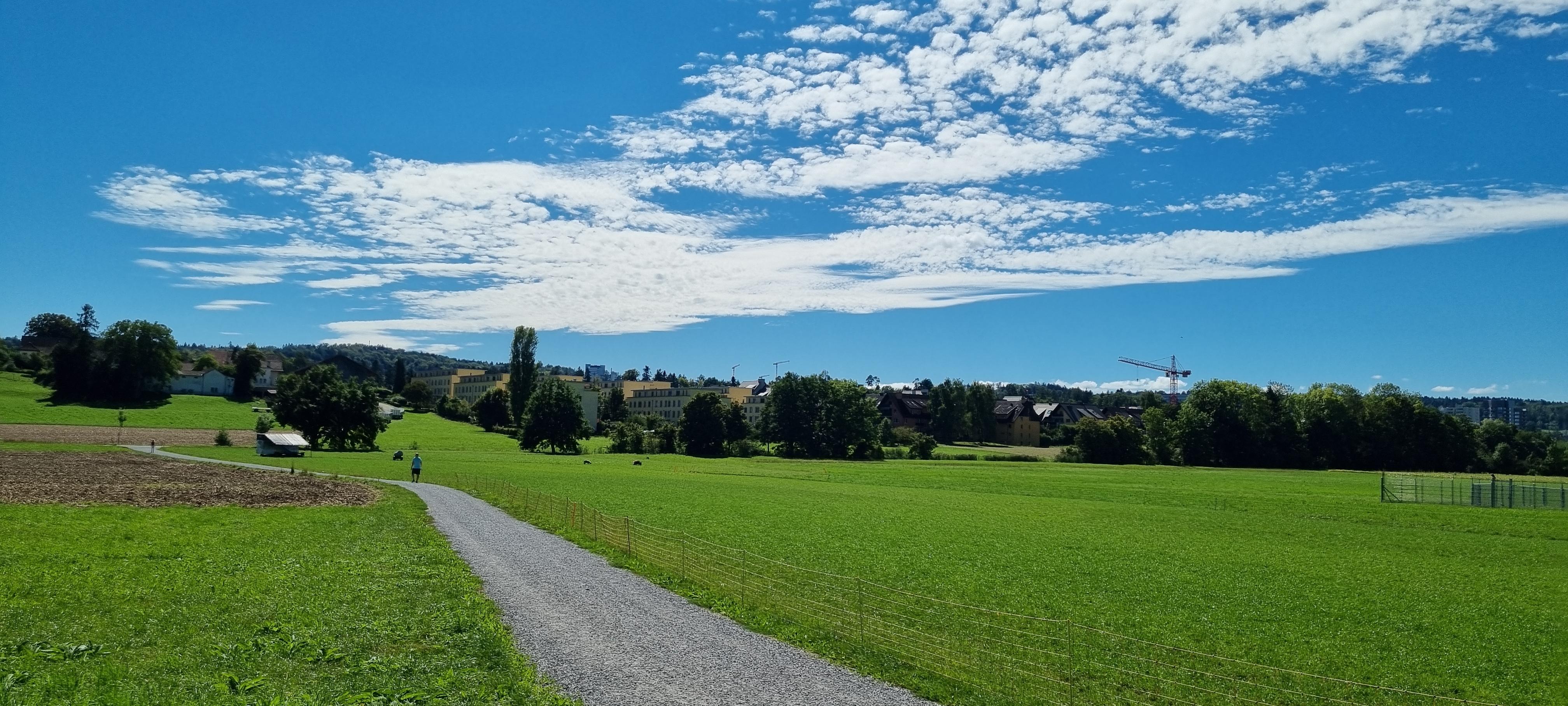 Sonntagsausflug nach Zürich-Affoltern.  Aus allen Himmelsrichtungen trudeln unsere Mitglieder beim Restaurant Waidhof ein: die einen mit dem Auto, andere per Zug und Bus, manche sogar sportlich mit dem Velo.