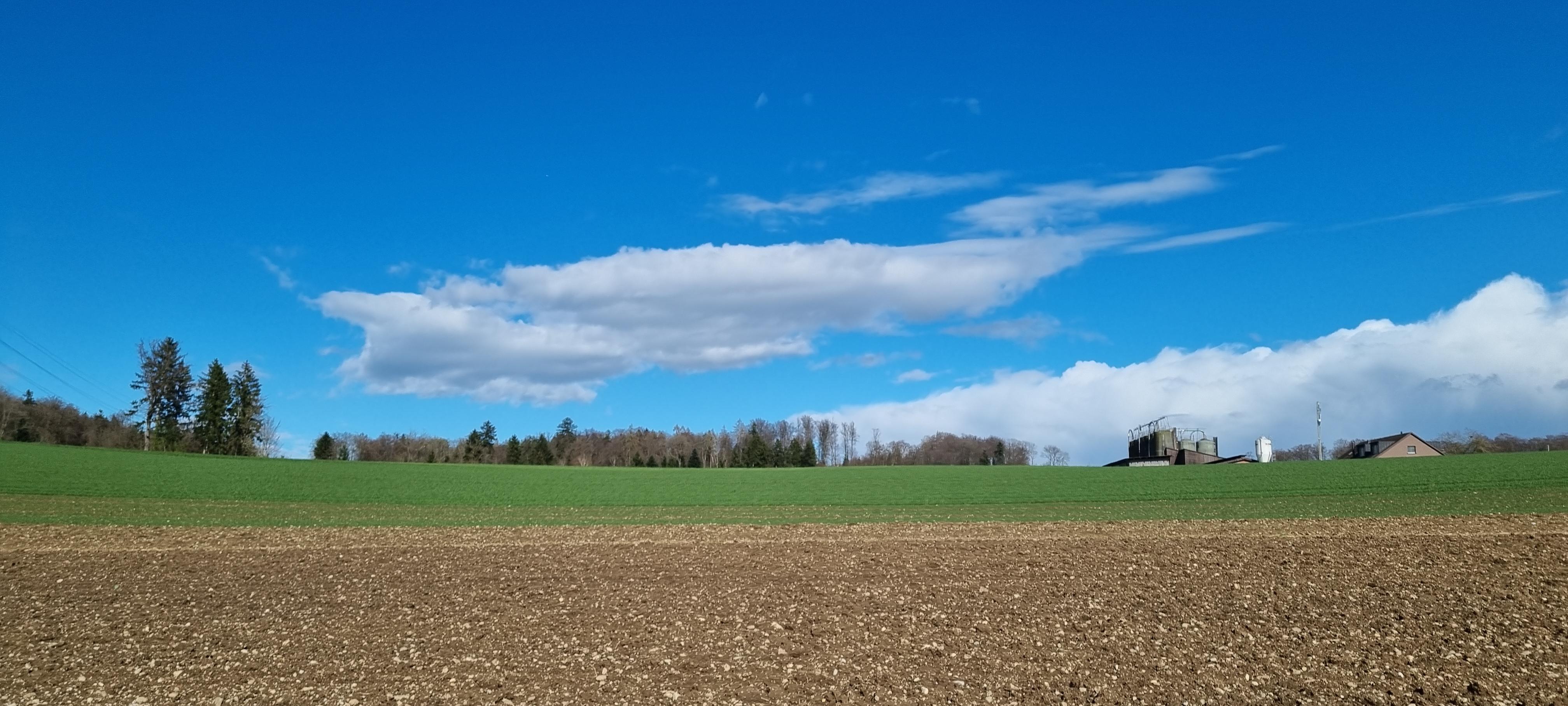 Eindrücke von unserem 