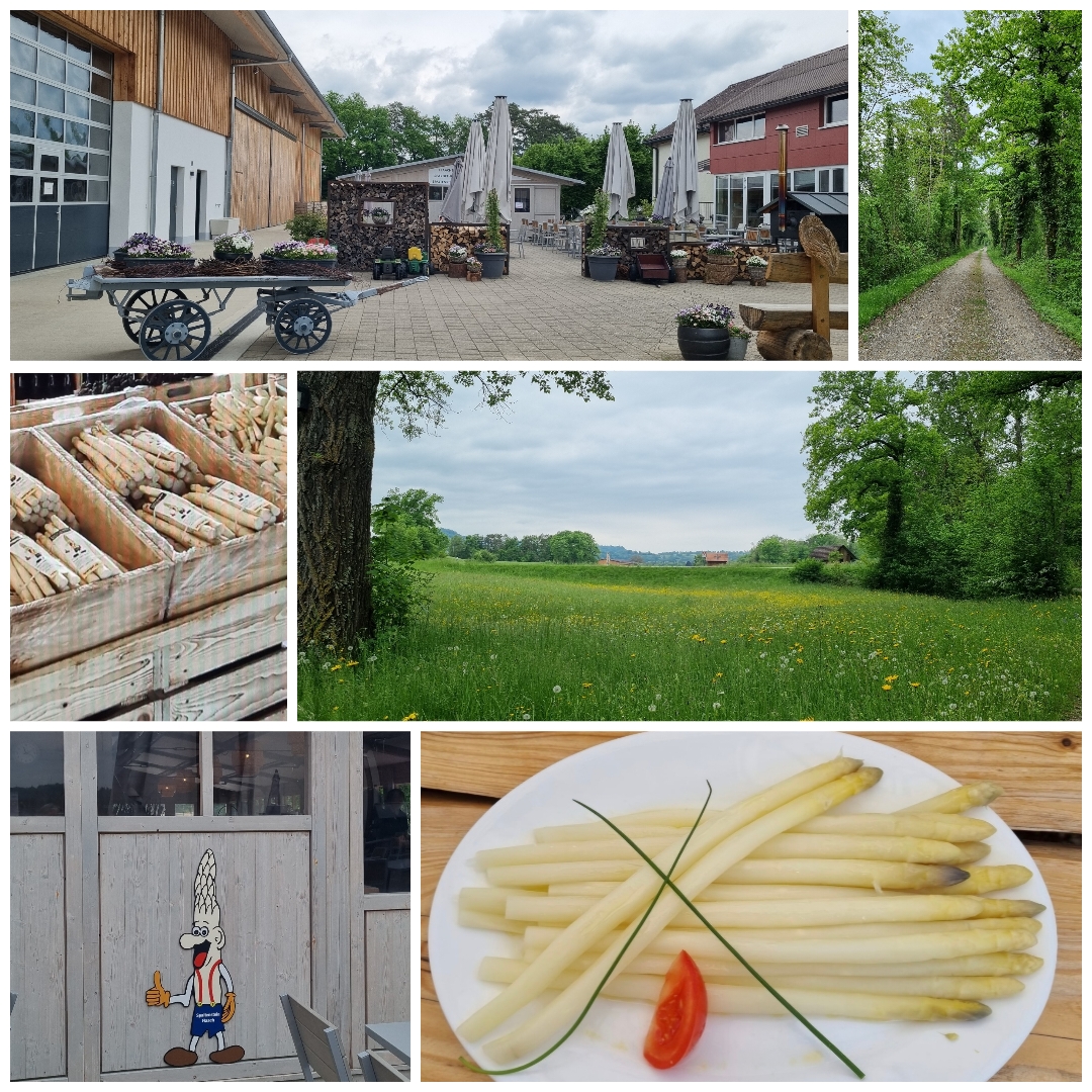 Eindrücke von unserem Zäme-sii-Event vom 07.05.25  Zäme aktiv sii, feste, glücklich sii, einfach lustig ha und gniesse  Text: Alfred Tschopp/Fotos: Claudine Carré  Spargelzeit – ab nach Flaach!  Mein Lieblingsspruch: Flaach heisst Flaach, weil’s hier einfach flach ist. Aber eigentlich geht’s ja gar nicht ums Gelände – sondern um Spargeln!