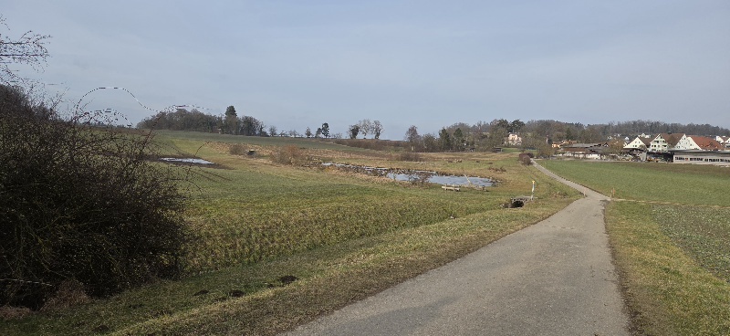 Senioren - Treff - Single - Freizeitclub: Eindrücke von unserem 