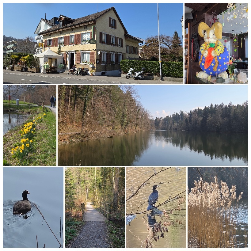 Freizeitclub 
