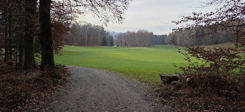 Eindrücke von unserem Zäme-sii-Event vom 19.11.25  Zäme aktiv sii, feste, glücklich sii, einfach lustig ha und gniesse  Text: Alfred Tschopp/Fotos: Claudine Carré  Dänikon – Waldschenke Altberg – Fondue  Bei strahlendem Wetter geht’s heute rauf auf den Altberg.