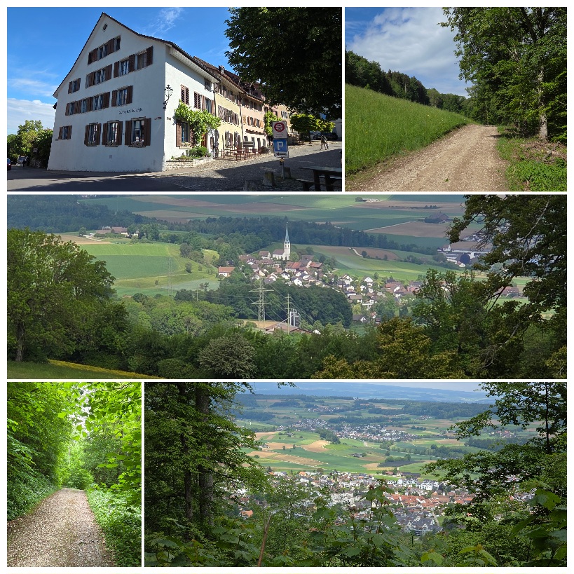 Freizeitclub: Zäme unterwägs: Wandere, Natur gniesse und lustig ha. Nach der Schneckenwanderung im Aathal folgt nun die nächste Frühlingsetappe: die Bärlauchwanderung an der Flanke der Lägern. 🌿