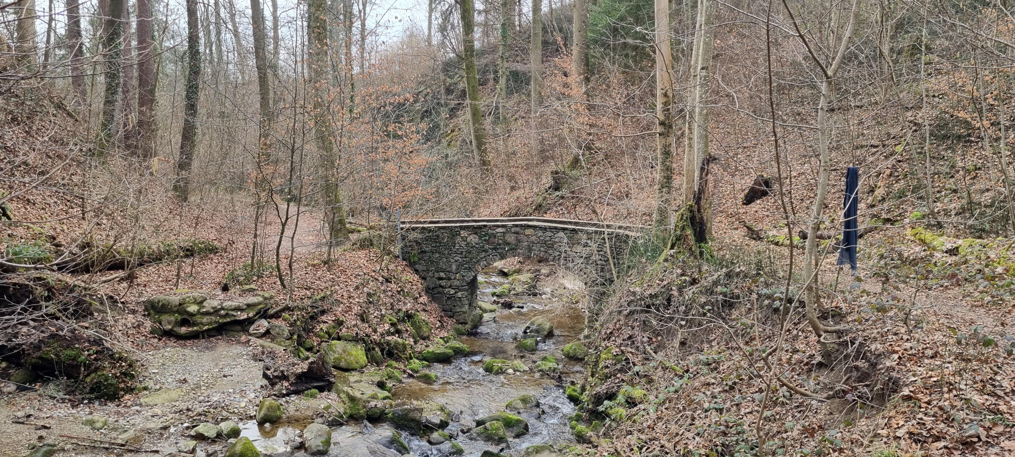 Eindrücke von unserem 