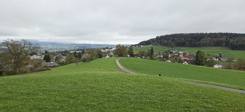 Freizeitclub Zumikon/Forch