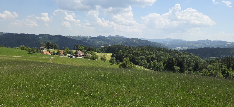 Freizeitclub: Zäme unterwägs: Wandere, Natur gniesse und lustig ha.