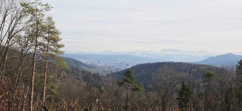 Eindrücke von unserem Zäme-sii-Event vom 19.11.25  Zäme aktiv sii, feste, glücklich sii, einfach lustig ha und gniesse  Text: Alfred Tschopp/Fotos: Claudine Carré  Dänikon – Waldschenke Altberg – Fondue  Bei strahlendem Wetter geht’s heute rauf auf den Altberg.
