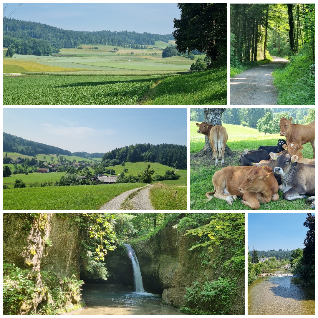 Eindrücke von unserem 