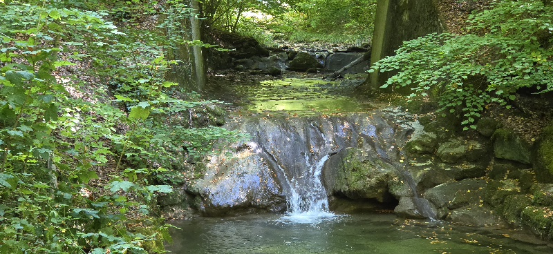 Eindrücke von unserem