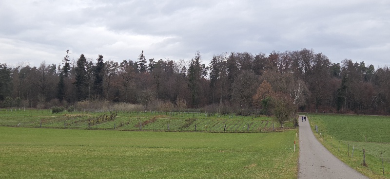 Eindrücke von unserem 