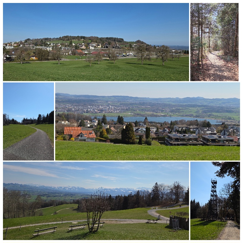 Zäme unterwägs: Wandere, Natur gniesse und lustig ha. Forch - Guldenen - Guldener Höchi - Pfannenstiel - JakobEssWeg - Toggwil - MeilemerTobel - Meilen Was für ein Tag! Sonnenschein, tiefblauer Himmel – genau so stellt man sich das vor. Nicht wahr? Und dann: die Bise. Eiskalt, bissig, einfach gnadenlos.
