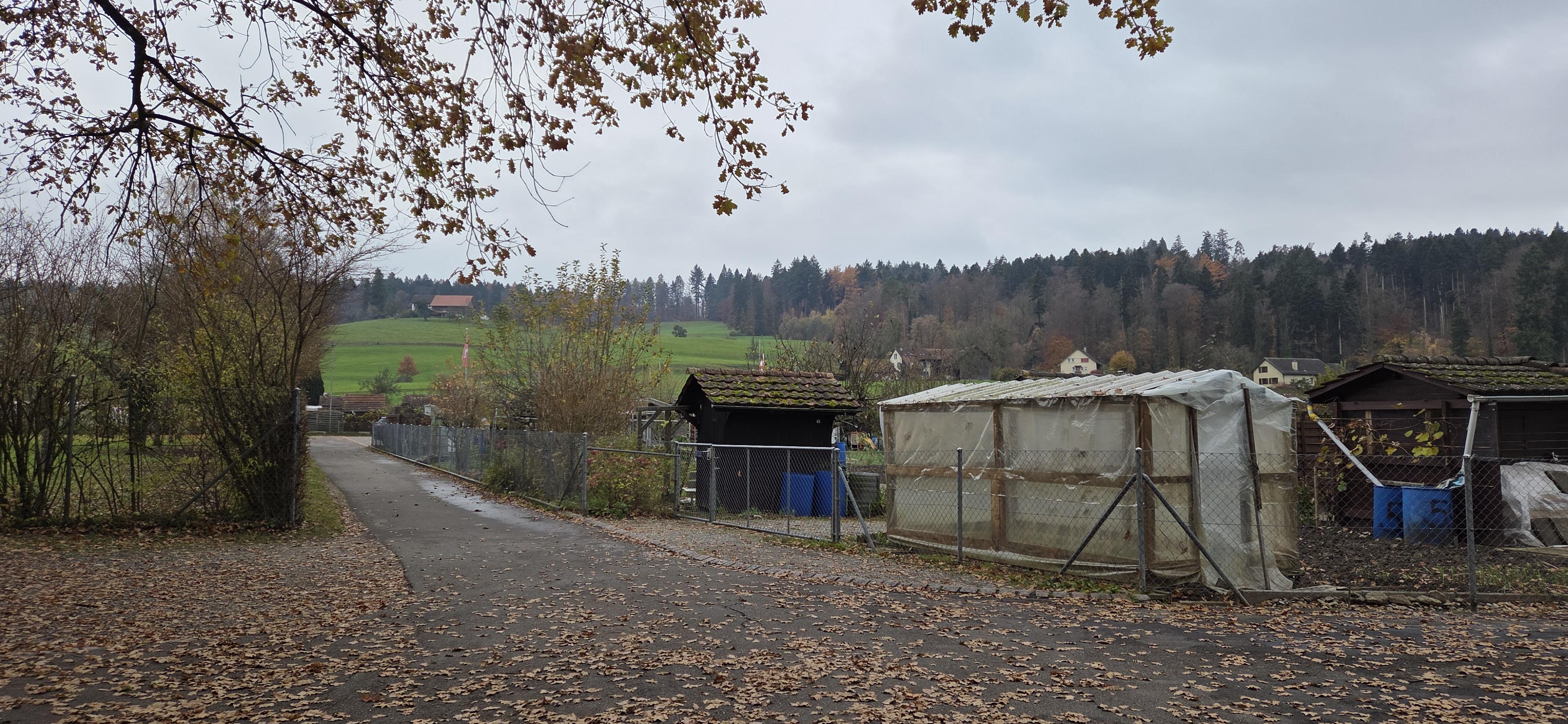 Eindrücke von unserem 