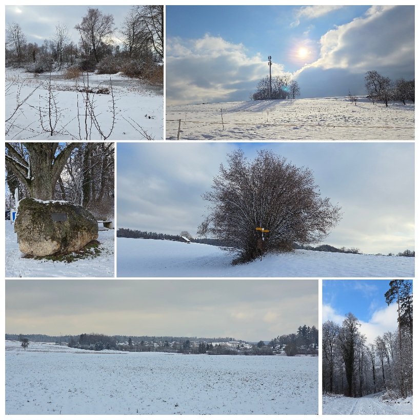 Eindrücke von unserem 