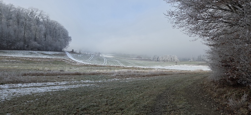 Freizeit, Freizeitclub, Freizeitverein, Senioren, Eindrücke von unserem 