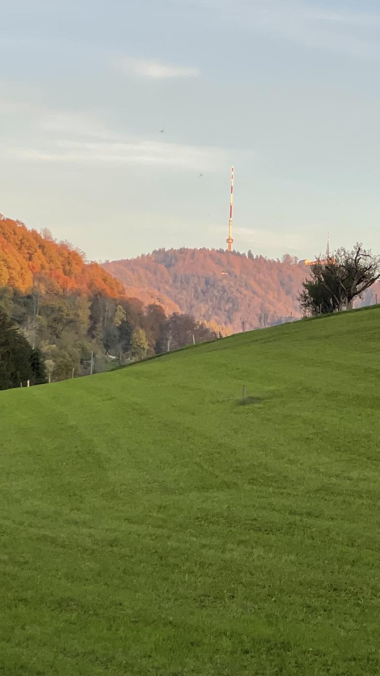 Zäme unterwägs Säuliamt mit Blick zum Uetliberg. Freizeitaktivitäten für Singles. Willkommen im Freizeitclub 